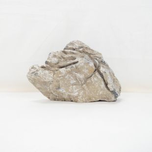 Roca Amano (Seiryu/Ryouh) para decorar acuarios en tienda online pzes Alcorcón: el mejor hardscape con envíos seguros y animales sanos.