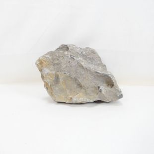 Roca Amano (Seiryu/Ryouh) para decorar acuarios en tienda online pzes Alcorcón: el mejor hardscape con envíos seguros y animales sanos.