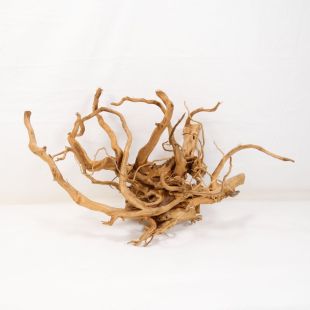 Comprar online raíz Roja tamaño mediano con varias ramificaciones para acuario en tienda Pzes Alcorcón, tienda.pzes.es