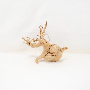 Comprar online raíz Roja tamaño mediano con varias ramificaciones para acuario en tienda Pzes Alcorcón, tienda.pzes.es