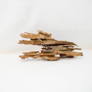 Comprar online madera dragón pequeña, bonita, decorativa y alargada con agujeros en tienda online de peces y acuarios especializada: Pzes Alcorcón.