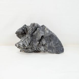 Roca Amano negra mediana y triangular con picos y marcas blancas, muy bonita, para decorar acuarios en tienda online peces y acuarios, Pzes Alcorcón.