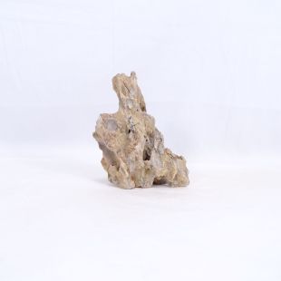 Roca dragón mediana redondeada con agujeros decoración natural acuarios en tienda Pzes Alcorcón.