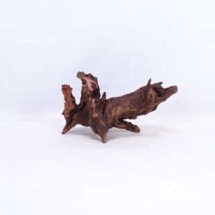 Comprar online madera cuerno mediana y alargada para acuario en tienda online Pzes Alcorcón