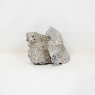 Roca Amano (Seiryu/Ryouh) para decorar acuarios en tienda online pzes Alcorcón: el mejor hardscape con envíos seguros y animales sanos.