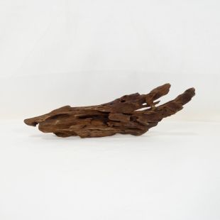 Comprar online madera dragón pequeña, bonita, decorativa y alargada con agujeros en tienda online de peces y acuarios especializada: Pzes Alcorcón.