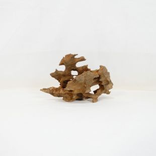 Comprar online madera dragón pequeña, bonita, decorativa y alargada con agujeros en tienda online de peces y acuarios especializada: Pzes Alcorcón.