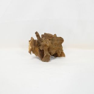Comprar online madera dragón pequeña, bonita, decorativa y alargada con agujeros en tienda online de peces y acuarios especializada: Pzes Alcorcón.