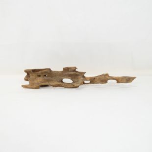 Comprar online madera dragón pequeña, bonita, decorativa y alargada con agujeros en tienda online de peces y acuarios especializada: Pzes Alcorcón.