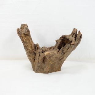 Comprar online madera cuerno pequeña para acuario en tienda online Pzes Alcorcón
