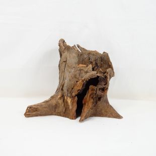 Comprar online madera cuerno mediana para acuario en tienda online tienda.pzes.es