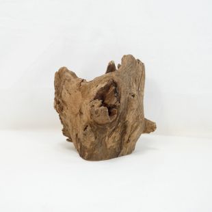 Comprar online madera cuerno pequeña para acuario en tienda online Pzes Alcorcón