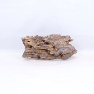 Roca dragón mediana redondeada con agujeros decoración natural acuarios en tienda Pzes Alcorcón.