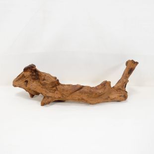Comprar online madera cuerno pequeña para acuario en tienda online Pzes Alcorcón