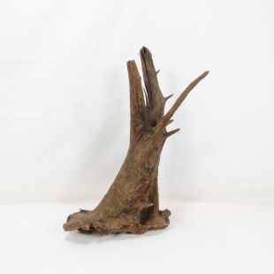 Comprar online madera cuerno pequeña para acuario en tienda online Pzes Alcorcón