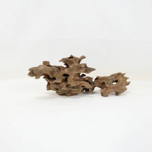 Comprar online madera dragón pequeña, bonita, decorativa y alargada con agujeros en tienda online de peces y acuarios especializada: Pzes Alcorcón.