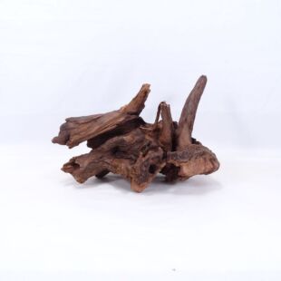 Comprar online madera cuerno mediana y alargada para acuario en tienda online Pzes Alcorcón
