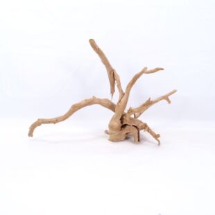 Comprar online raíz Roja tamaño mediano con varias ramificaciones para acuario en tienda Pzes Alcorcón, tienda.pzes.es