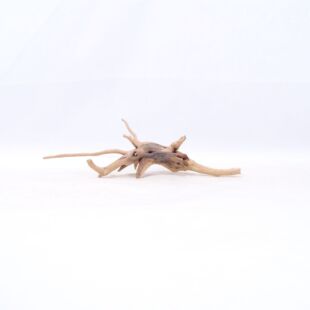 Comprar online raíz Slim pequeña con varias ramitas para acuarios en tienda Pzes Alcorcón.