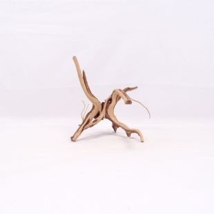 Comprar online raíz Slim pequeña con varias ramitas para acuarios en tienda Pzes Alcorcón.