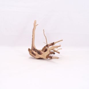 Comprar online raíz Slim pequeña con varias ramitas para acuarios en tienda Pzes Alcorcón.