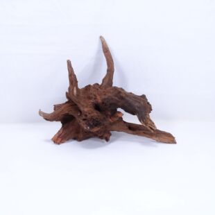 Comprar online madera cuerno mediana y alargada para acuario en tienda online Pzes Alcorcón