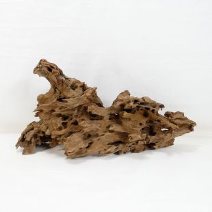 Comprar online madera dragón pequeña, bonita, decorativa y alargada con agujeros en tienda online de peces y acuarios especializada: Pzes Alcorcón.