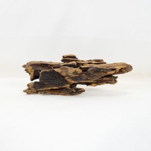 Comprar online madera dragón pequeña, bonita, decorativa y alargada con agujeros en tienda online de peces y acuarios especializada: Pzes Alcorcón.