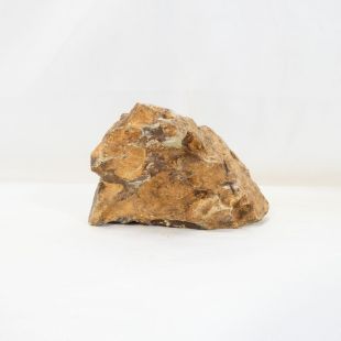 Roca dragón pequeña-mediana con agujeros decoración natural acuarios en tienda.pzes.es