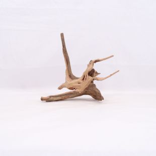 Comprar online raíz Slim pequeña con varias ramitas para acuarios en tienda Pzes Alcorcón.