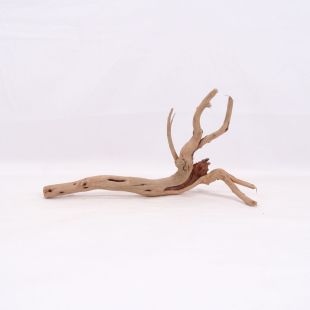 Comprar online raíz Slim pequeña con varias ramitas para acuarios en tienda Pzes Alcorcón.