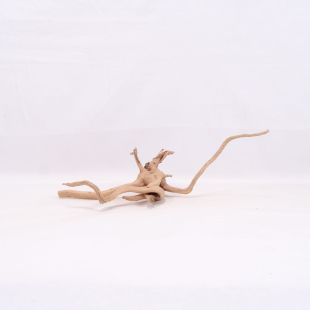 Comprar online raíz Slim pequeña con varias ramitas para acuarios en tienda Pzes Alcorcón.