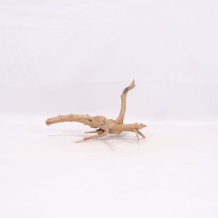 Comprar online raíz Slim pequeña con varias ramitas para acuarios en tienda Pzes Alcorcón.