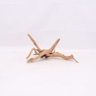 Comprar online raíz Slim pequeña con varias ramitas para acuarios en tienda Pzes Alcorcón.