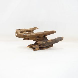 Comprar online madera dragón pequeña, bonita, decorativa y alargada con agujeros en tienda online de peces y acuarios especializada: Pzes Alcorcón.