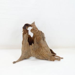 Comprar online madera cuerno mediana y alargada para acuario en tienda online Pzes Alcorcón