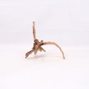 Comprar online raíz Slim pequeña con varias ramitas para acuarios en tienda Pzes Alcorcón.