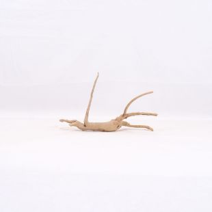 Comprar online raíz Slim pequeña con varias ramitas para acuarios en tienda Pzes Alcorcón.