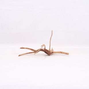 Comprar online raíz Slim pequeña con varias ramitas para acuarios en tienda Pzes Alcorcón.