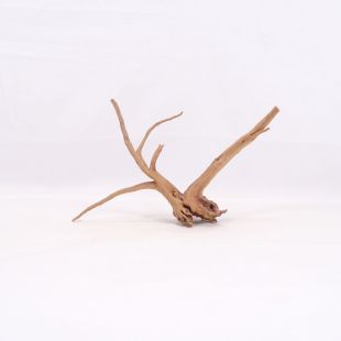 Comprar online raíz Slim pequeña con varias ramitas para acuarios en tienda Pzes Alcorcón.