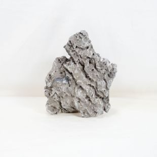 Roca Amano (Seiryu/Ryouh) para decorar acuarios en tienda online pzes Alcorcón: el mejor hardscape con envíos seguros y animales sanos.