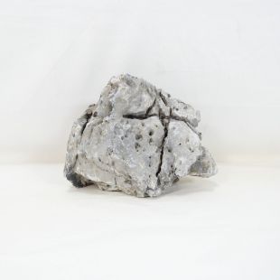 Roca Amano (Seiryu/Ryouh) para decorar acuarios en tienda online pzes Alcorcón: el mejor hardscape con envíos seguros y animales sanos.