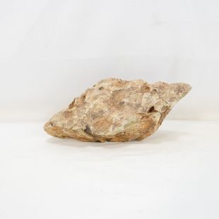 Roca dragón pequeña-mediana con agujeros decoración natural acuarios en tienda.pzes.es