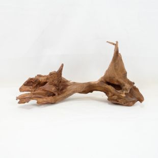 Comprar online madera cuerno mediana y alargada para acuario en tienda online Pzes Alcorcón