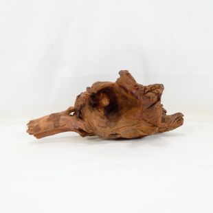 Comprar online madera cuerno mediana y alargada para acuario en tienda online Pzes Alcorcón