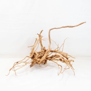 Comprar online raíz Roja tamaño mediano con varias ramificaciones para acuario en tienda Pzes Alcorcón, tienda.pzes.es