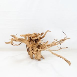 Comprar online raíz Roja tamaño mediano con varias ramificaciones para acuario en tienda Pzes Alcorcón, tienda.pzes.es