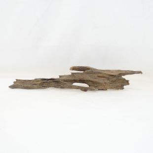 Comprar online madera dragón pequeña, bonita, decorativa y alargada con agujeros en tienda online de peces y acuarios especializada: Pzes Alcorcón.
