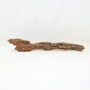 Comprar online madera dragón pequeña, bonita, decorativa y alargada con agujeros en tienda online de peces y acuarios especializada: Pzes Alcorcón.
