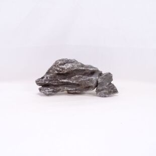 Roca Amano pequeña y triangular con surcos para decorar acuarios en tienda online peces y acuarios, Pzes Alcorcón.